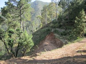 04_new-road